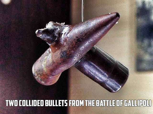 morning picdump 51 pics 17.html - 51 HD Photos | Premium Gallery 2016