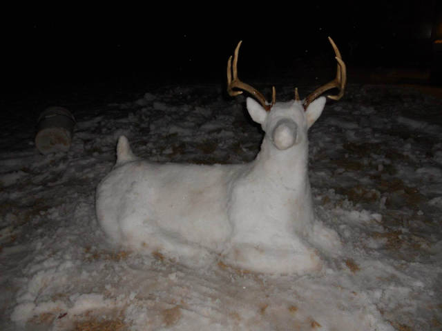 morning picdump 51 pics 17.html - 51 HD Photos | Premium Gallery 2016