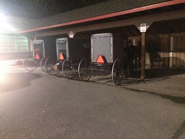 morning picdump 51 pics 17.html - 51 HD Photos | Premium Gallery 2016