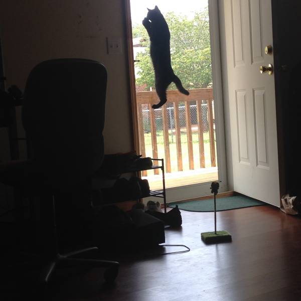 morning picdump 51 pics 17.html - 51 HD Photos | Premium Gallery 2016