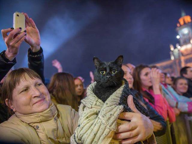 Daily Picdump [WEEKEND EDITION]