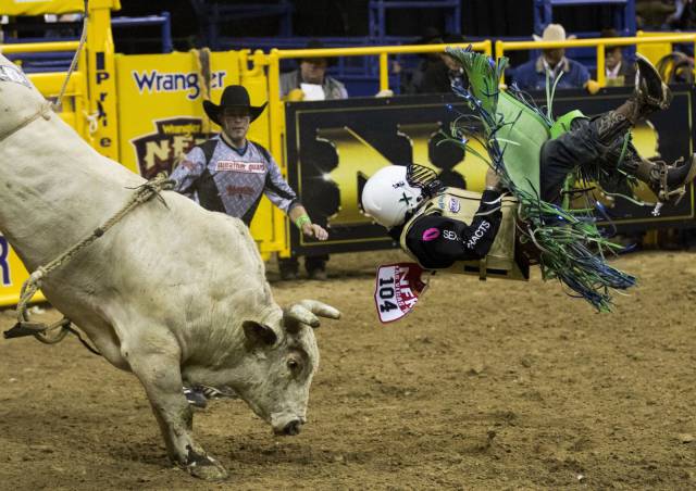 Daily Picdump [WEEKEND EDITION]