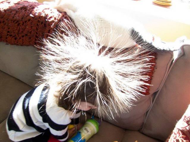 daily picdump 98 pics 9.html - 98 HD Photos | Premium Gallery 2016