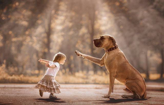 daily picdump 98 pics 9.html - 98 HD Photos | Premium Gallery 2016