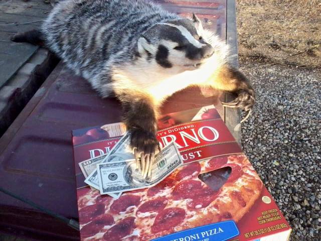 daily picdump 98 pics 9.html - 98 HD Photos | Premium Gallery 2016