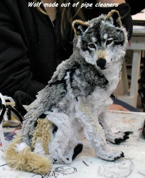 daily picdump 98 pics 9.html - 98 HD Photos | Premium Gallery 2016