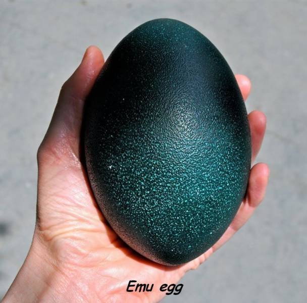 daily picdump 98 pics 9.html - 98 HD Photos | Premium Gallery 2016