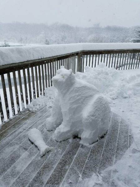 daily picdump 98 pics 9.html - 98 HD Photos | Premium Gallery 2016