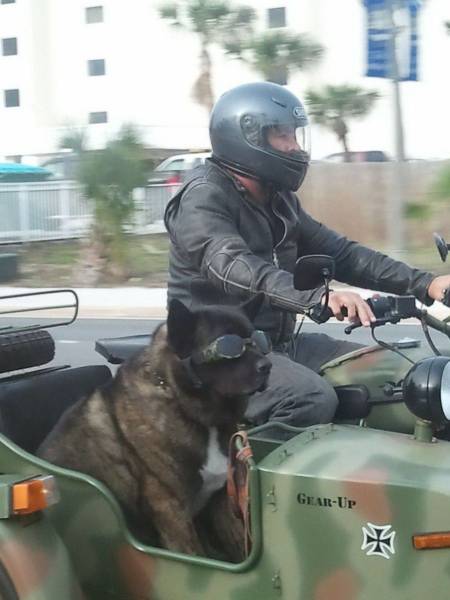 daily picdump 100 pics 2.html - 100 HD Photos | Premium Gallery 2016