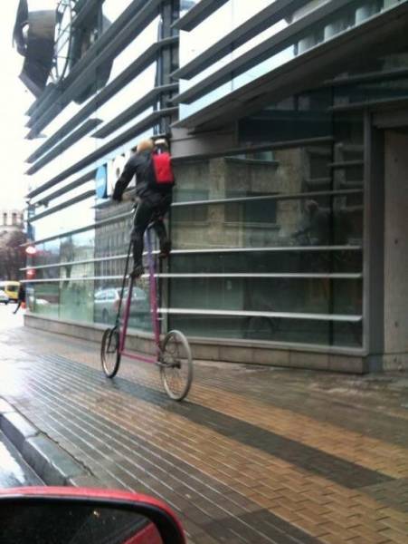 daily picdump 100 pics 2.html - 100 HD Photos | Premium Gallery 2016