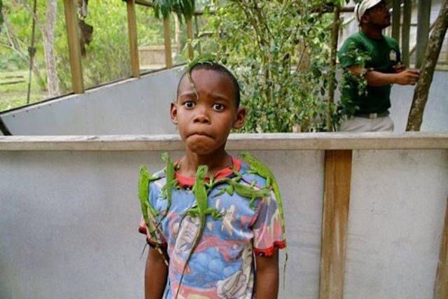 daily picdump 100 pics 2.html - 100 HD Photos | Premium Gallery 2016