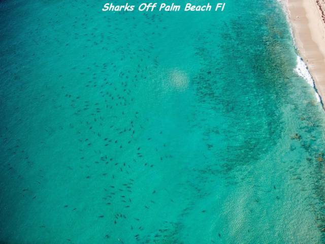 daily picdump 100 pics 2.html - 100 HD Photos | Premium Gallery 2016