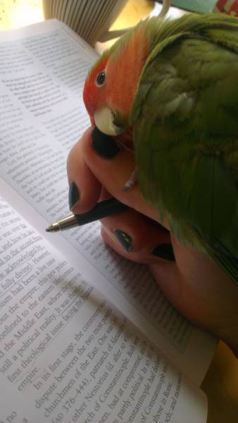 daily picdump 100 pics 2.html - 100 HD Photos | Premium Gallery 2016