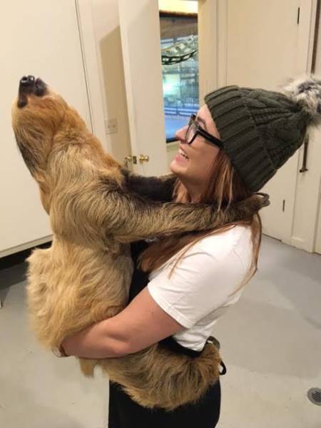 daily picdump 100 pics 2.html - 100 HD Photos | Premium Gallery 2016