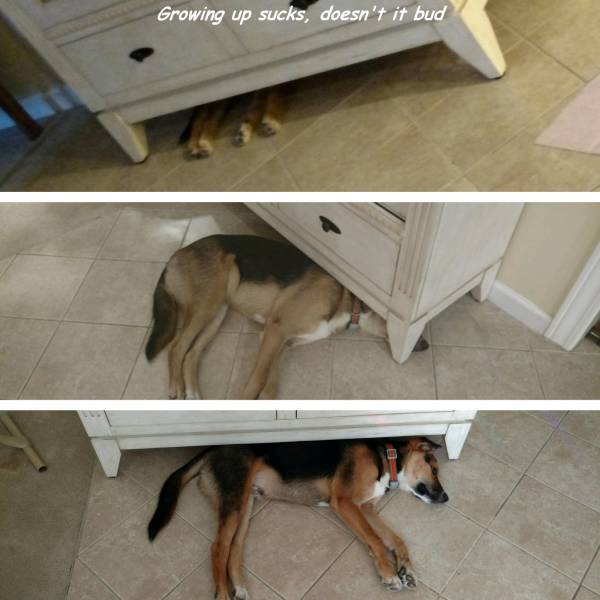 daily picdump 100 pics 2.html - 100 HD Photos | Premium Gallery 2016