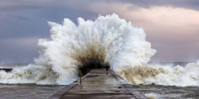 daily picdump 100 pics 2.html - 100 HD Photos | Premium Gallery 2016