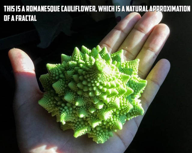 morning picdump 53 pics 7.html - 53 HD Photos | Premium Gallery 2016