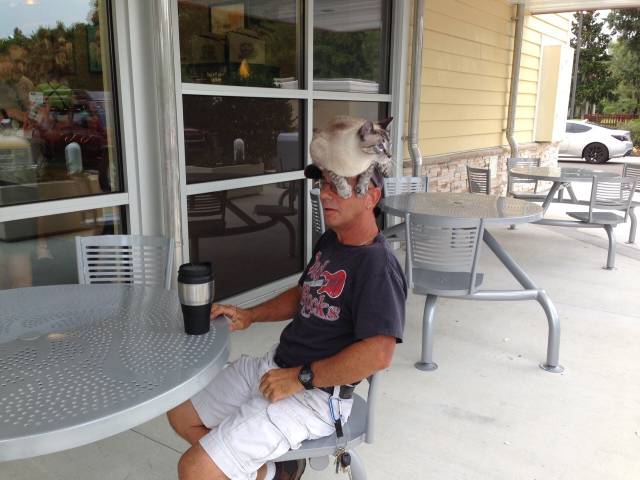 morning picdump 53 pics 7.html - 53 HD Photos | Premium Gallery 2016