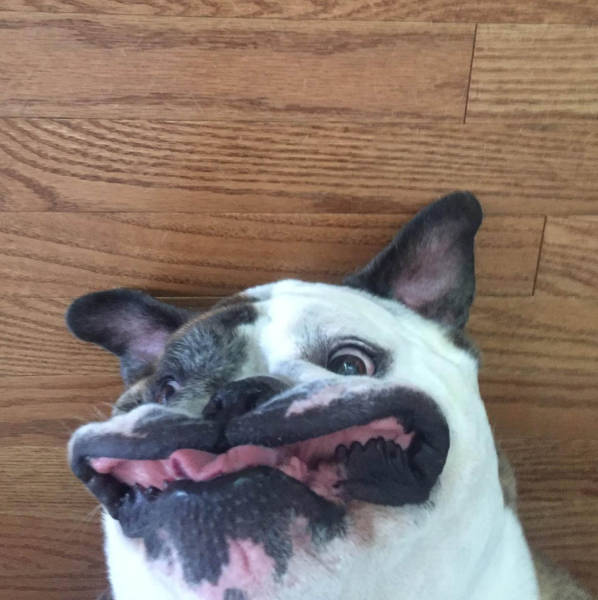 morning picdump 53 pics 7.html - 53 HD Photos | Premium Gallery 2016