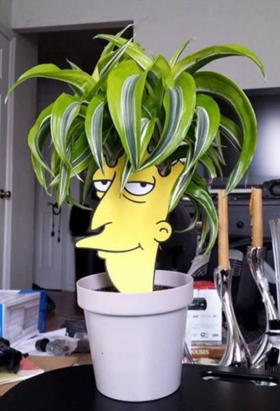 morning picdump 53 pics 7.html - 53 HD Photos | Premium Gallery 2016