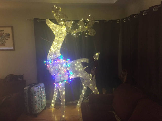 morning picdump 53 pics 7.html - 53 HD Photos | Premium Gallery 2016