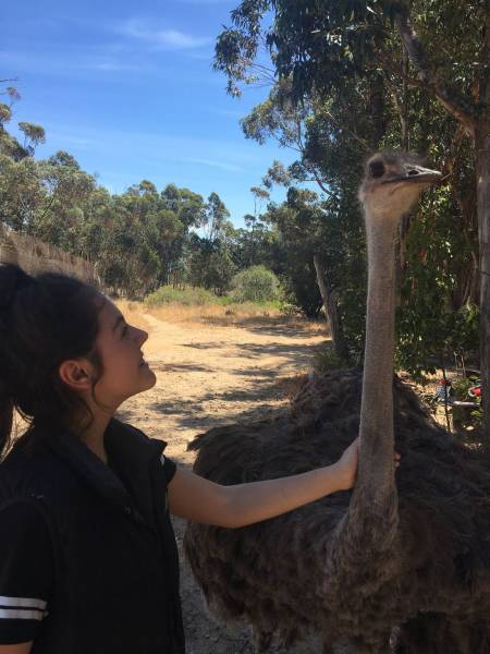 daily picdump 94 pics 36.html - 94 HD Photos | Premium Gallery 2016