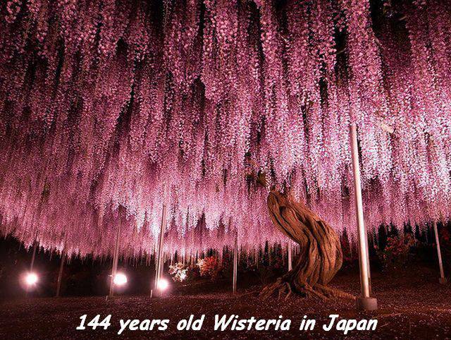 daily picdump 94 pics 36.html - 94 HD Photos | Premium Gallery 2016