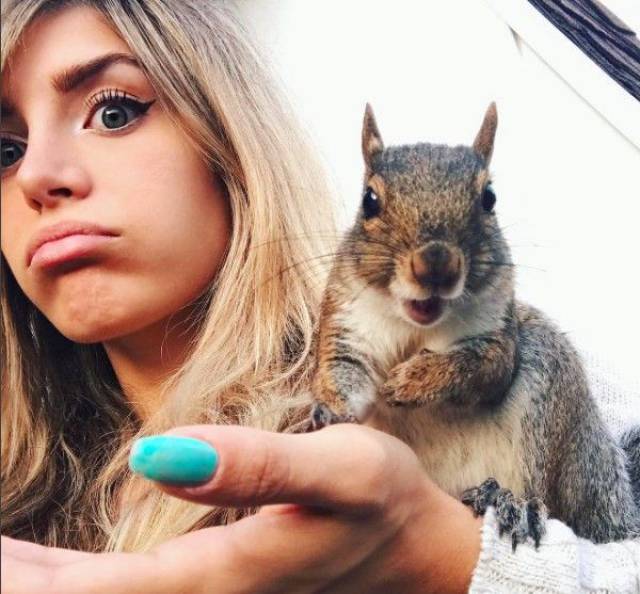 daily picdump 94 pics 36.html - 94 HD Photos | Premium Gallery 2016