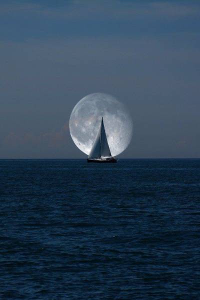 daily picdump 94 pics 36.html - 94 HD Photos | Premium Gallery 2016