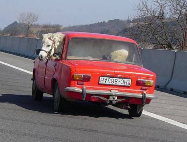 daily picdump 94 pics 36.html - 94 HD Photos | Premium Gallery 2016