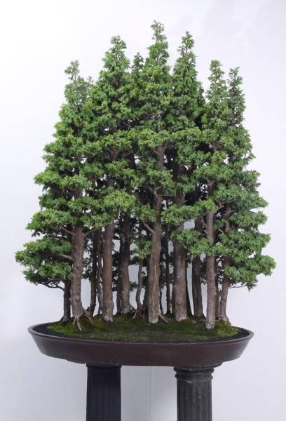 morning picdump 50 pics 9.html - 50 HD Photos | Premium Gallery 2016