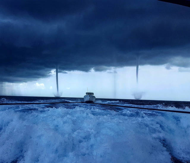 morning picdump 50 pics 9.html - 50 HD Photos | Premium Gallery 2016