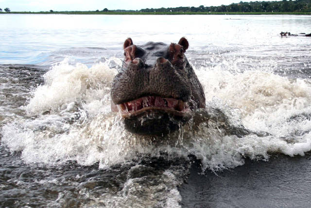 morning picdump 50 pics 9.html - 50 HD Photos | Premium Gallery 2016