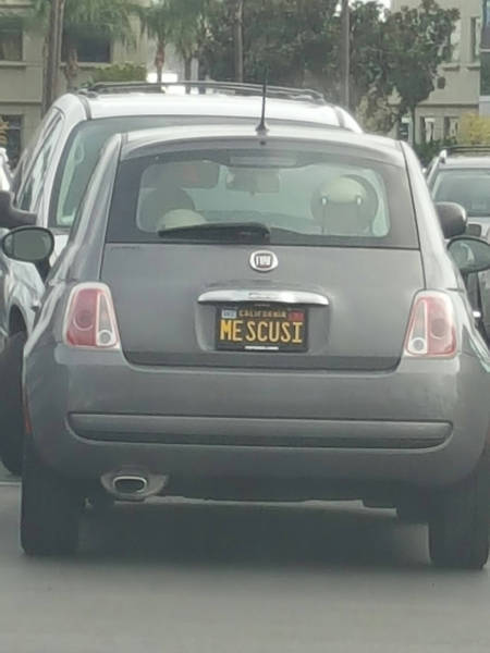 morning picdump 50 pics 9.html - 50 HD Photos | Premium Gallery 2016