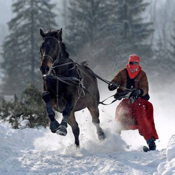 daily picdump 96 pics 38.html - 96 HD Photos | Premium Gallery 2016