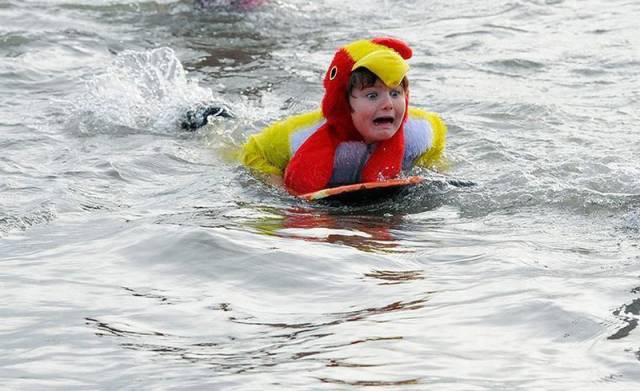 daily picdump 96 pics 38.html - 96 HD Photos | Premium Gallery 2016