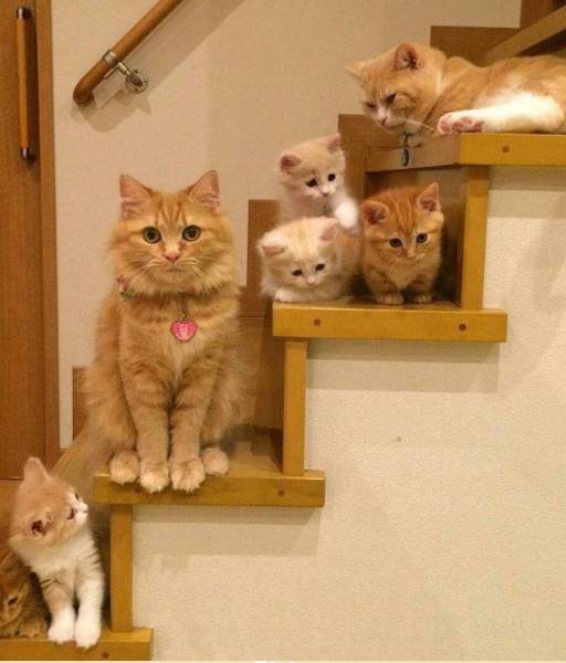 daily picdump 96 pics 38.html - 96 HD Photos | Premium Gallery 2016