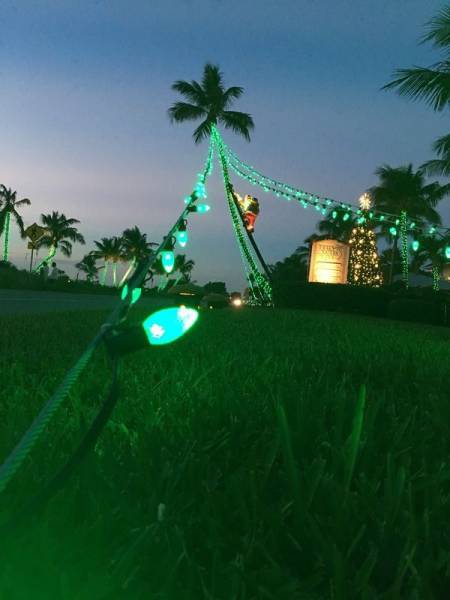 daily picdump 96 pics 38.html - 96 HD Photos | Premium Gallery 2016