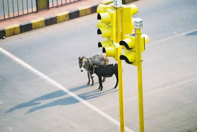 daily picdump 96 pics 38.html - 96 HD Photos | Premium Gallery 2016