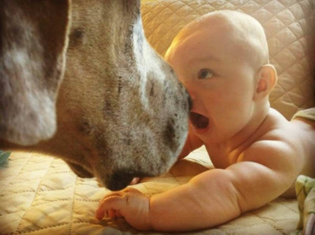 morning picdump 50 pics 2.html - 50 HD Photos | Premium Gallery 2016