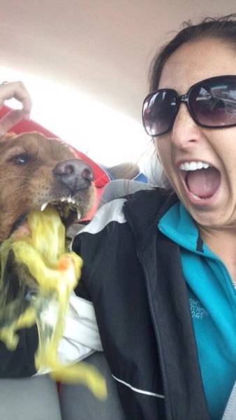 morning picdump 50 pics 2.html - 50 HD Photos | Premium Gallery 2016