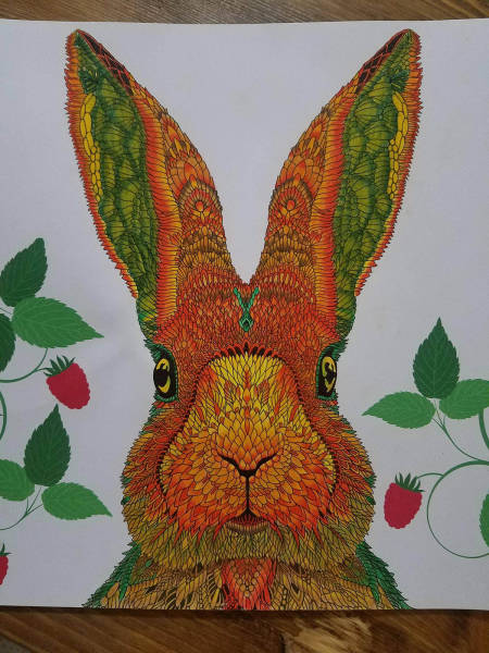 morning picdump 50 pics 2.html - 50 HD Photos | Premium Gallery 2016