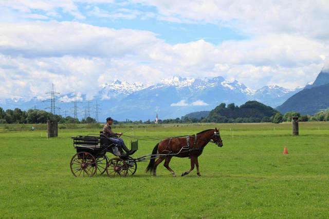 morning picdump 50 pics 2.html - 50 HD Photos | Premium Gallery 2016