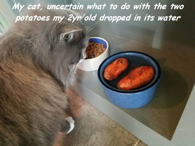 daily picdump 99 pics 2.html - 99 HD Photos | Premium Gallery 2016