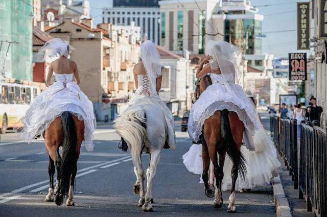 daily picdump 99 pics 2.html - 99 HD Photos | Premium Gallery 2016