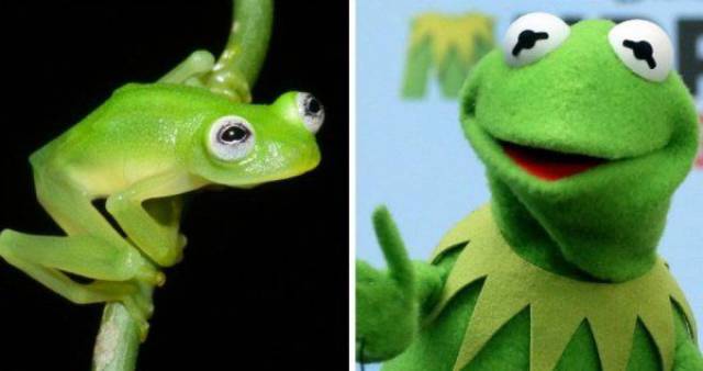 daily picdump 99 pics 2.html - 99 HD Photos | Premium Gallery 2016