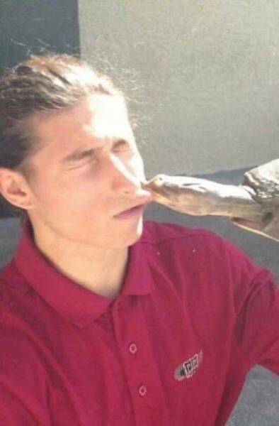 daily picdump 99 pics 2.html - 99 HD Photos | Premium Gallery 2016