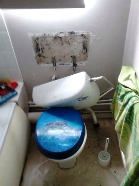 daily picdump 99 pics 2.html - 99 HD Photos | Premium Gallery 2016