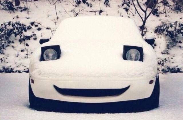 daily picdump 99 pics 2.html - 99 HD Photos | Premium Gallery 2016