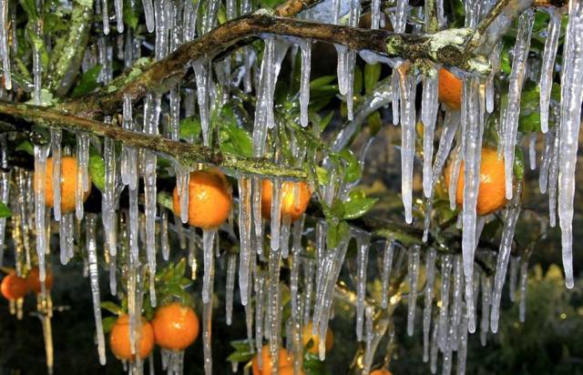 daily picdump 99 pics 2.html - 99 HD Photos | Premium Gallery 2016